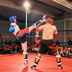 Portfolio Gallery