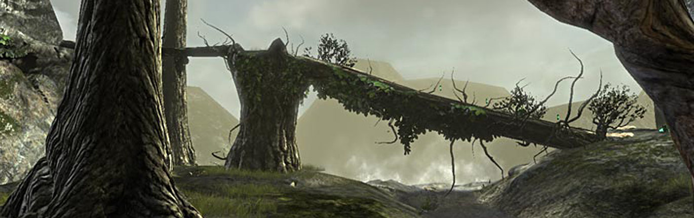 UT3: DM - Oriens Forest